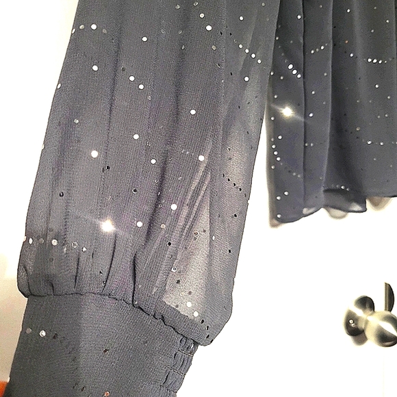 Billie & Blossom Gray Chiffon Lined Sparkle Blouse L/XL - Picture 2 of 9